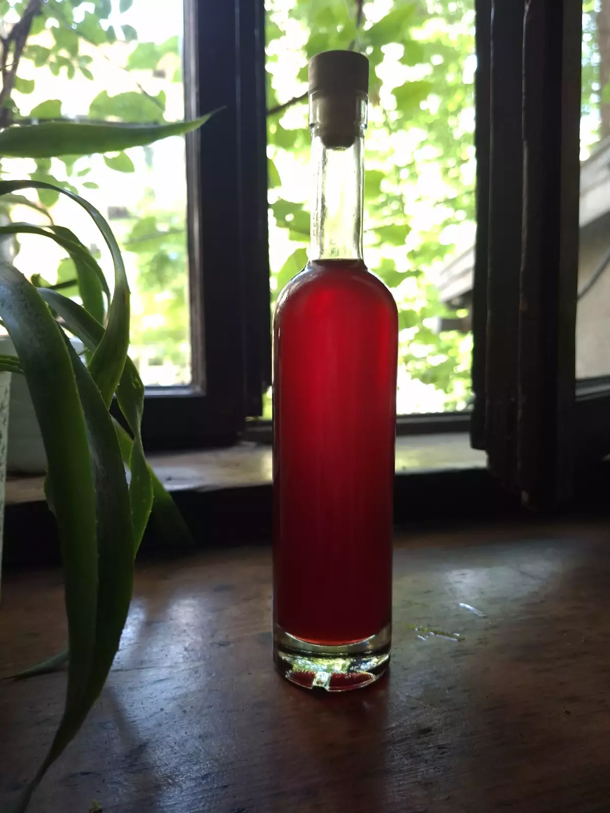 Syrups