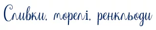 mor.webp